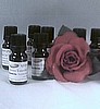 Aroma Warmer Oils (10ml)